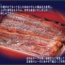 うなぎ　大沼