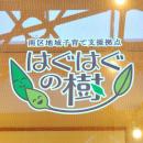 地域子育て支援拠点 はぐはぐの樹